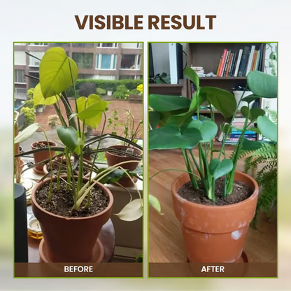 🔥Soil Improvement Loosening Agent
