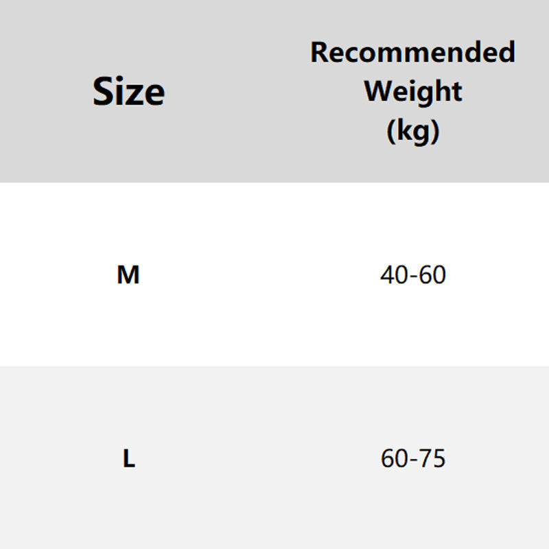 🔥2025 Hot Sale🔥Seamless High Waist Lace Panties for Women