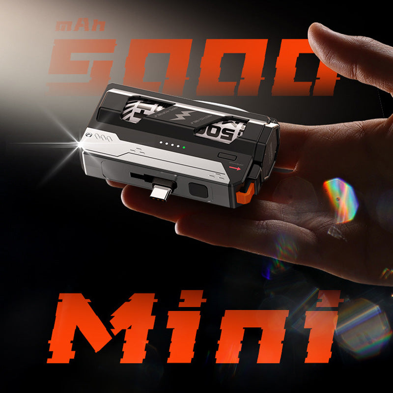 Portable Power Bank with Replaceable Battery