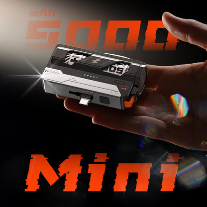 Portable Power Bank with Replaceable Battery